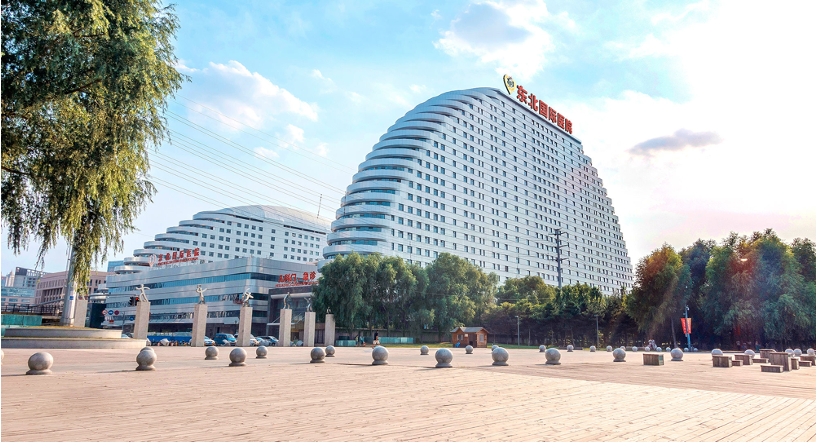 东北国际医院